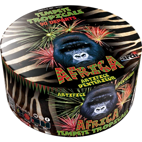 COMPACT TEMPÊTE® TROPICALE (pièce)