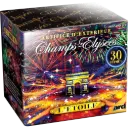 L'ÉTOILE - CHAMPS-ÉLYSÉES (pièce)