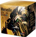 COMPACT MERVEILLE D'OR ET DE COULEURS