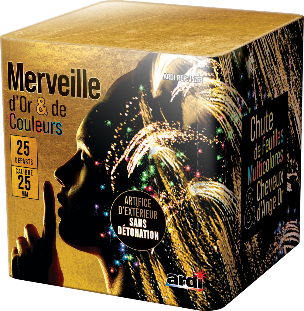 COMPACT MERVEILLE D'OR ET DE COULEURS (pièce)