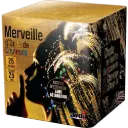 COMPACT MERVEILLE D'OR ET DE COULEURS (pièce)