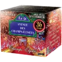 COMPACT LE 31 (pièce)