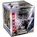COMPACT INTENSITY®