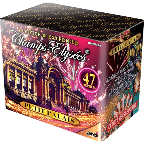 COMPACT LE PETIT PALAIS® (pièce)