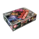 FEU D'ARTIFICE SHOWBOX® FASCINATION® 5MN