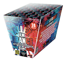 [22425P] ALLEZ LA FRANCE éventaillé (pièce)