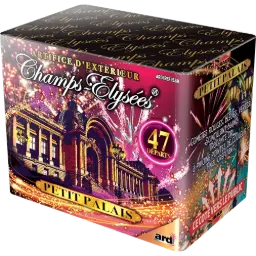 COMPACT LE PETIT PALAIS®