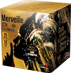 COMPACT MERVEILLE D'OR ET DE COULEURS