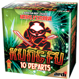 [SC15283] COMPACT KUNG-FU® (pièce)