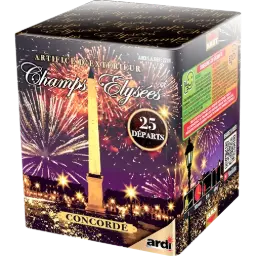 Champs-Elysées - La Concorde