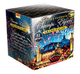 Champs-Elysées - Grand Palais