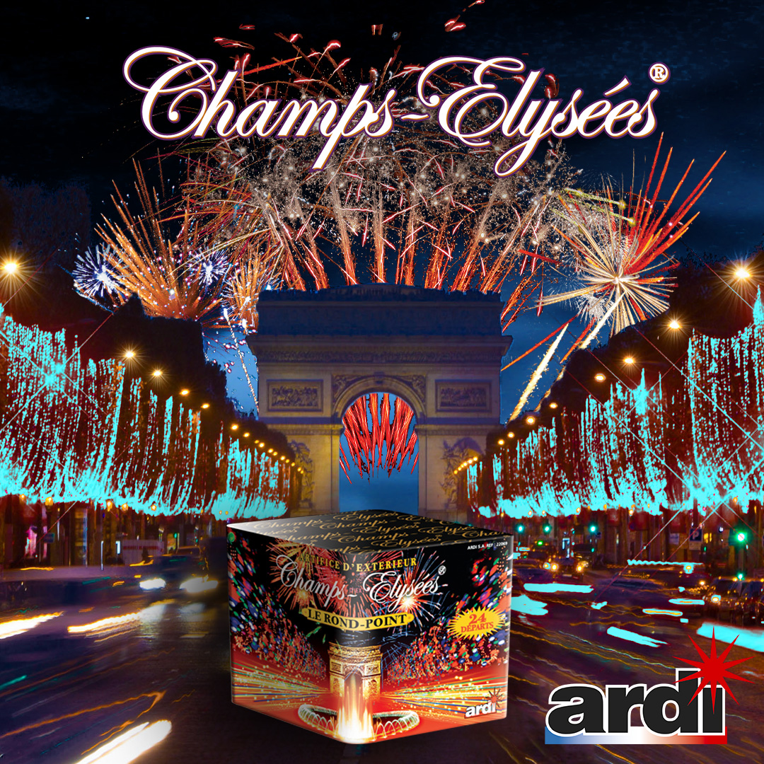 IL N'Y A PAS QUE LES CHAMPS-ÉLYSÉES QUI S'ILLUMINENT...